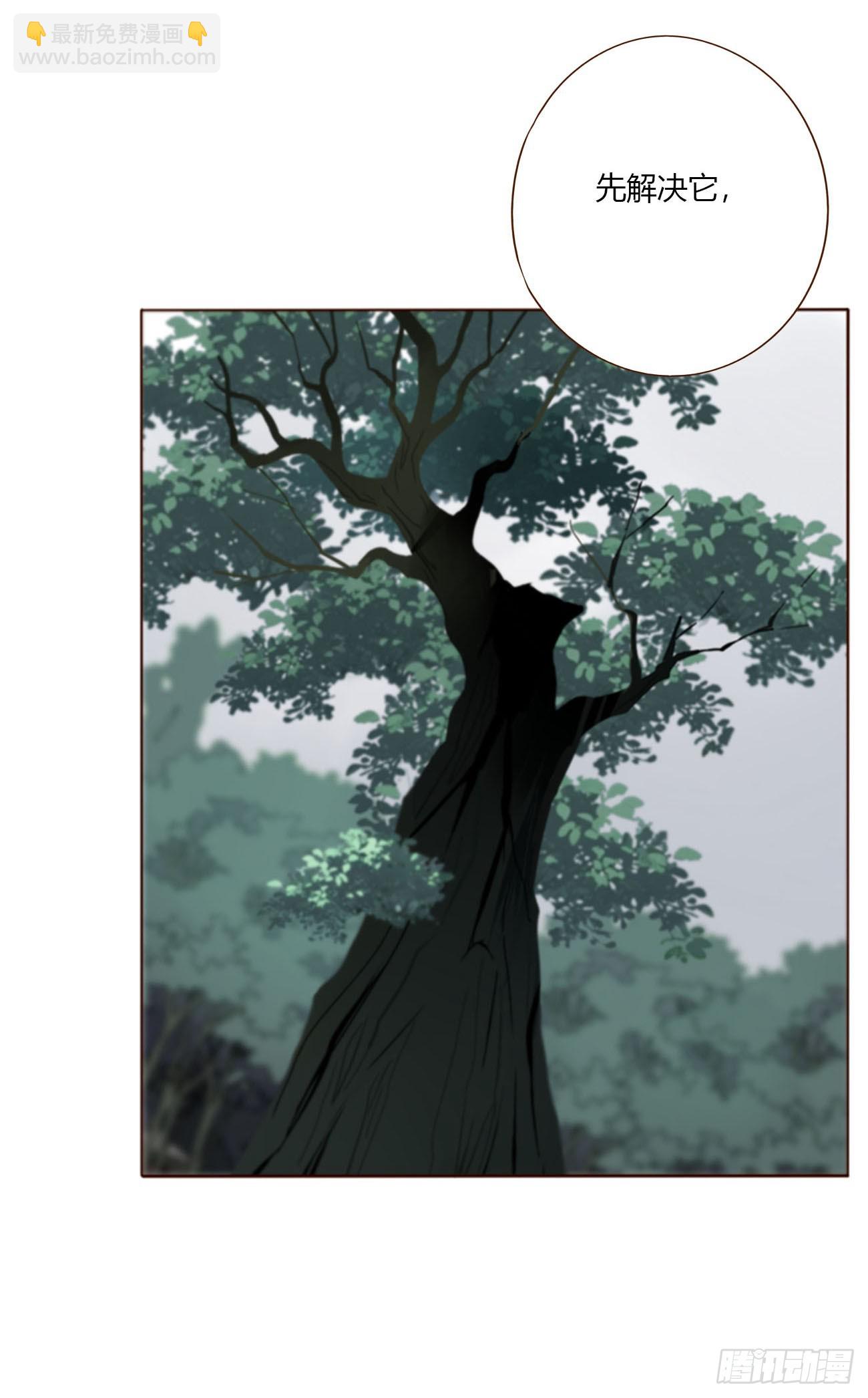 一八五章 雷击木-第192话