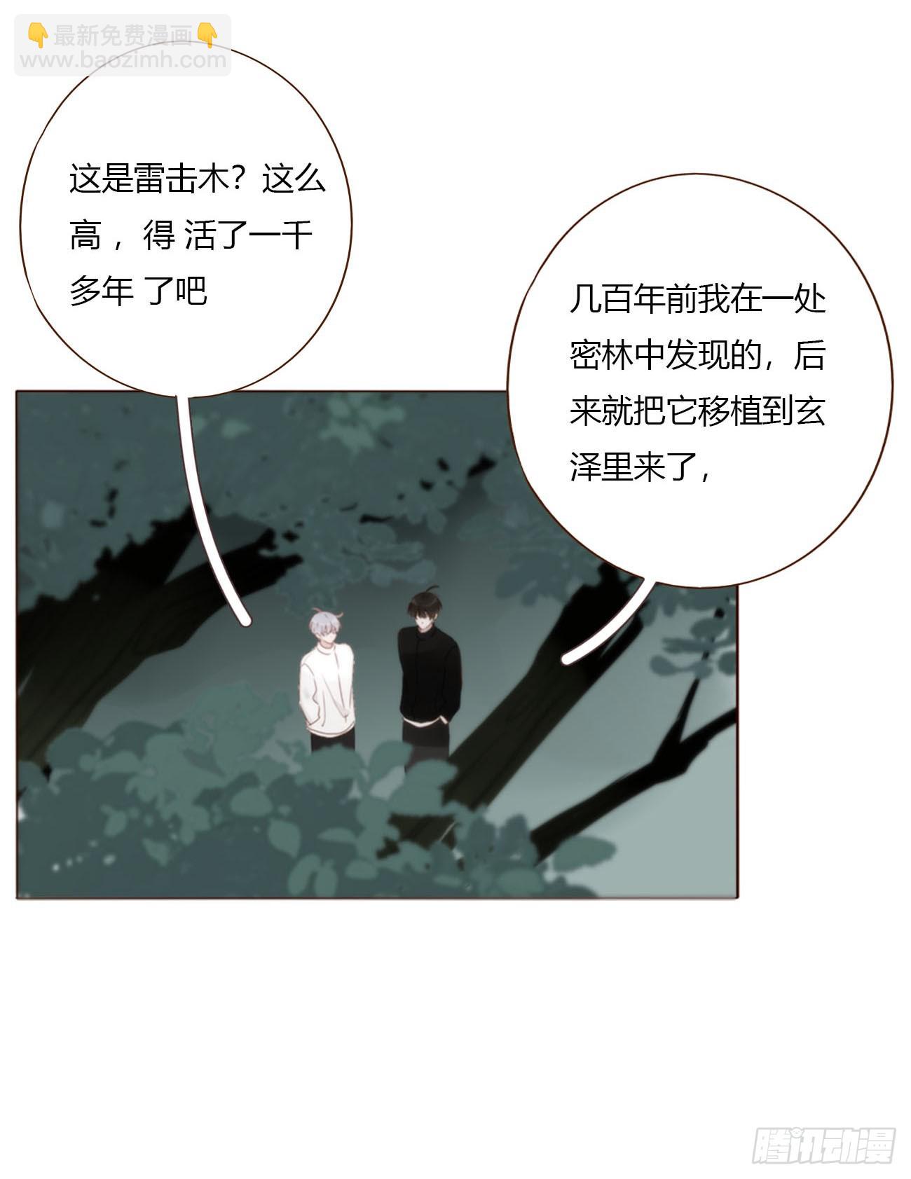 一八五章 雷击木-第192话