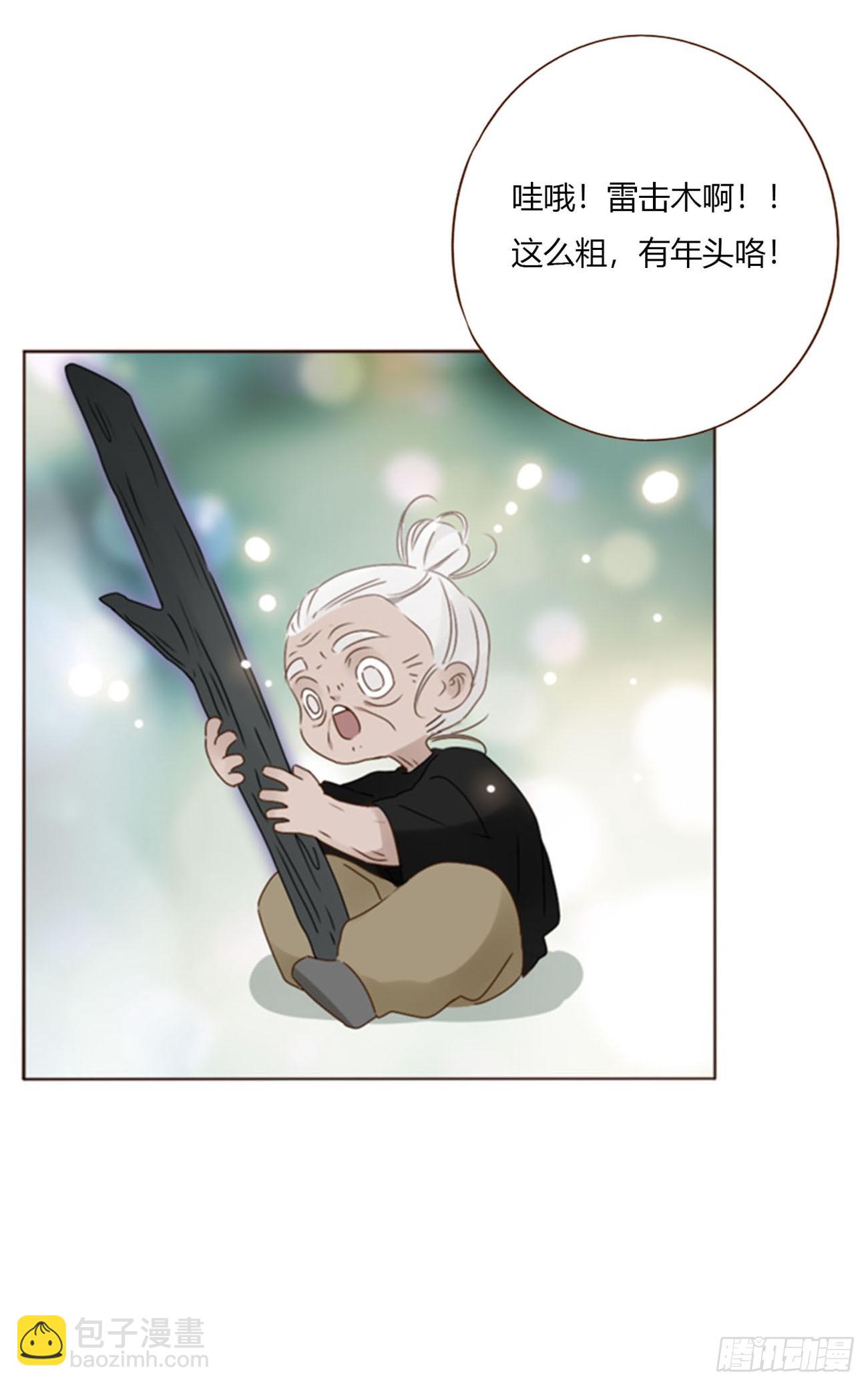 一八五章 雷击木-第192话