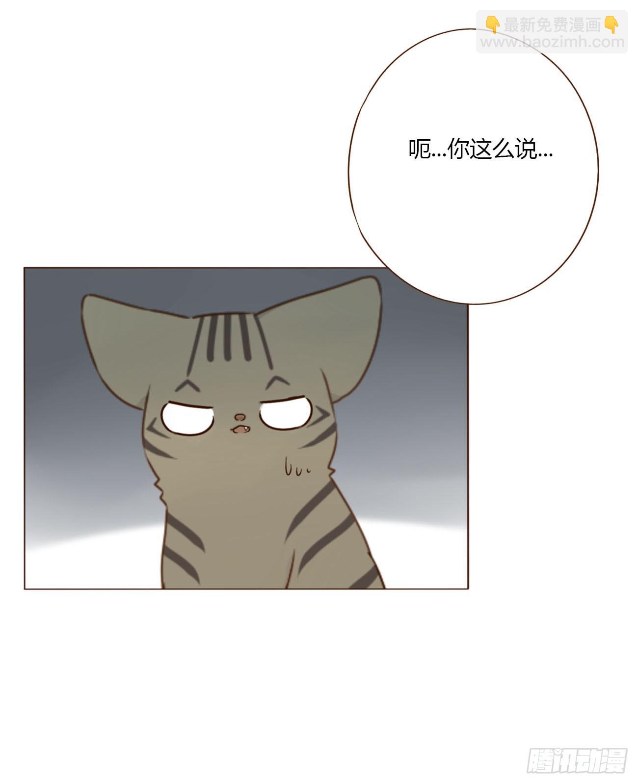 一八九章 清算1-第196话