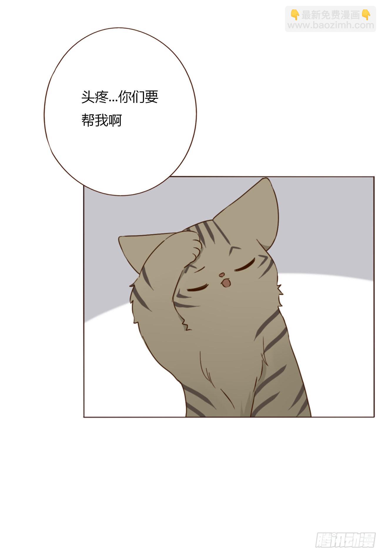 一八九章 清算1-第196话