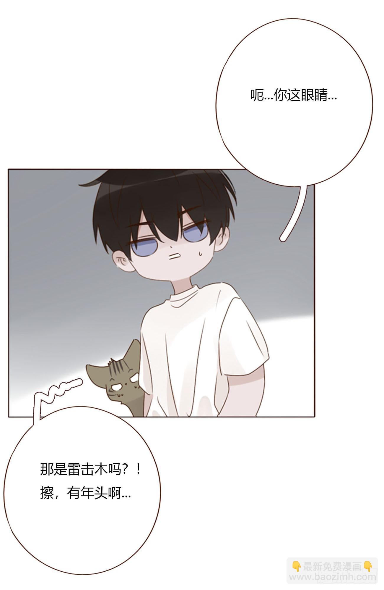 一八九章 清算1-第196话