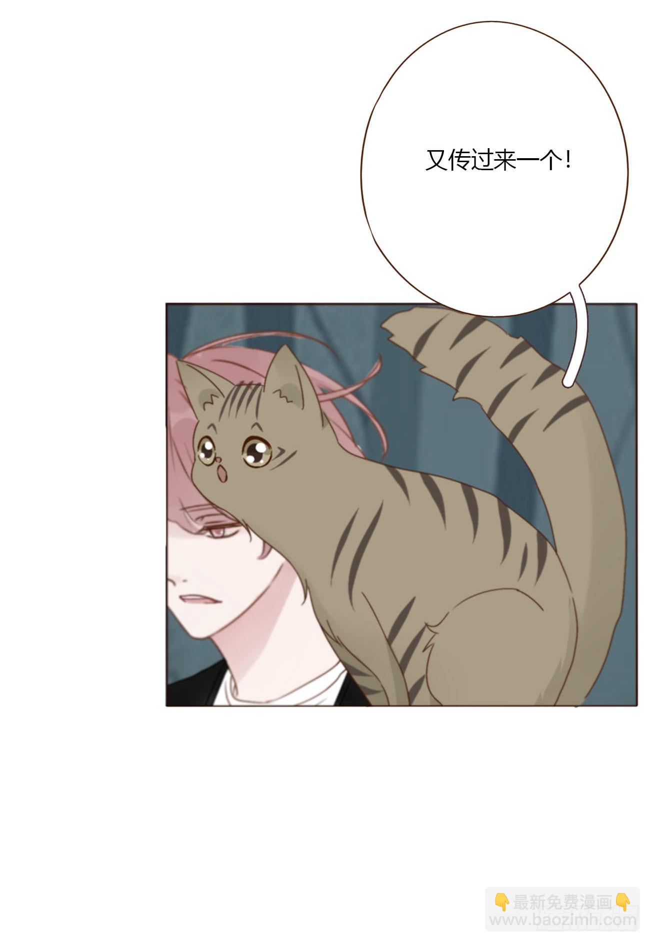 一九一章 清算3-第198话