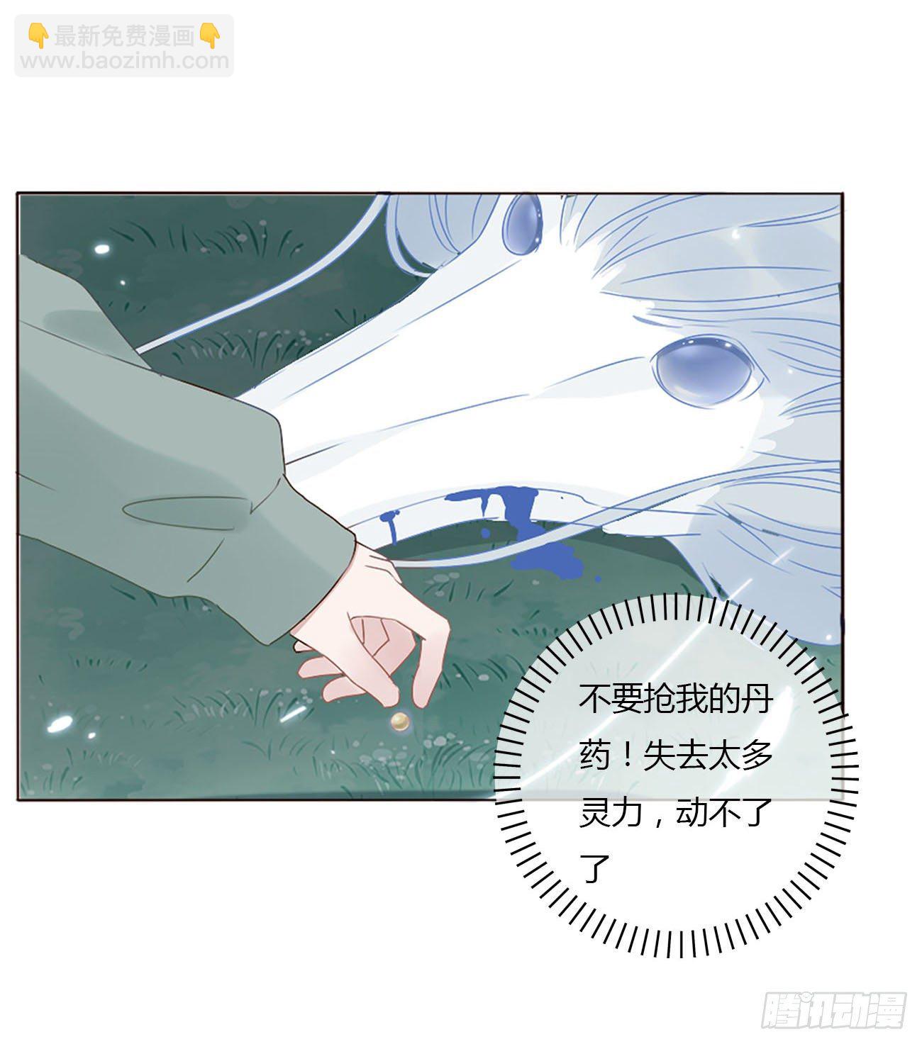 二十章 做我的狗狗(1/2)-第24话