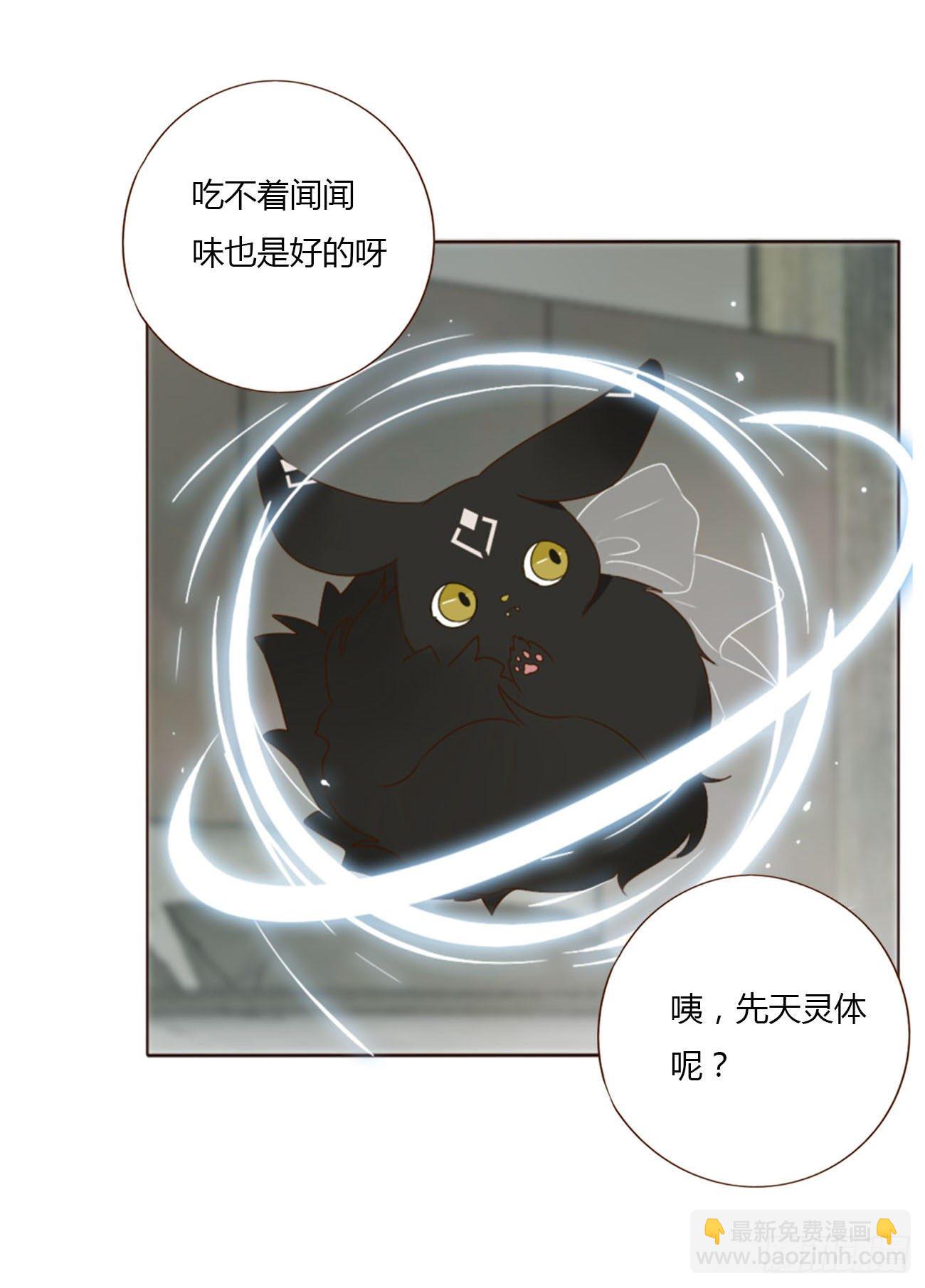 二十四章 长生鼎(1/2)-第28话