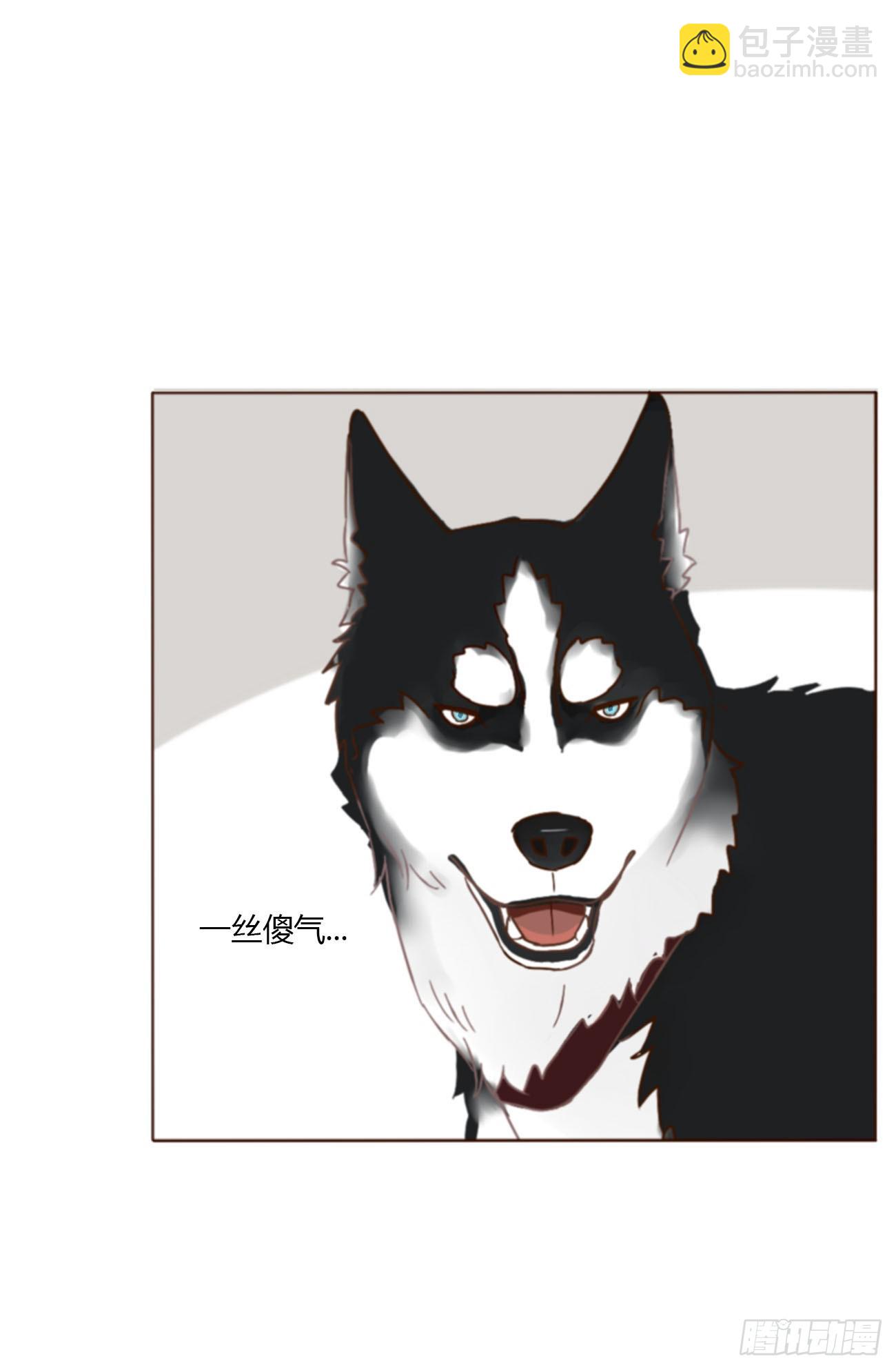 六十六章 殷主簿1-第72话