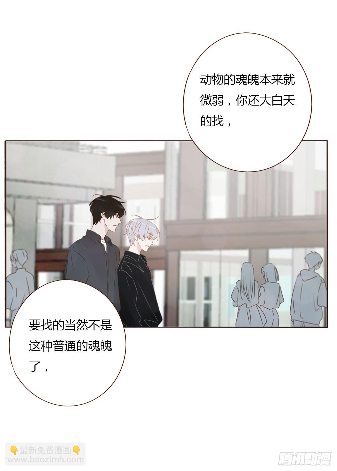 七十六章 找&ldquo;狗&rdquo;-第82话