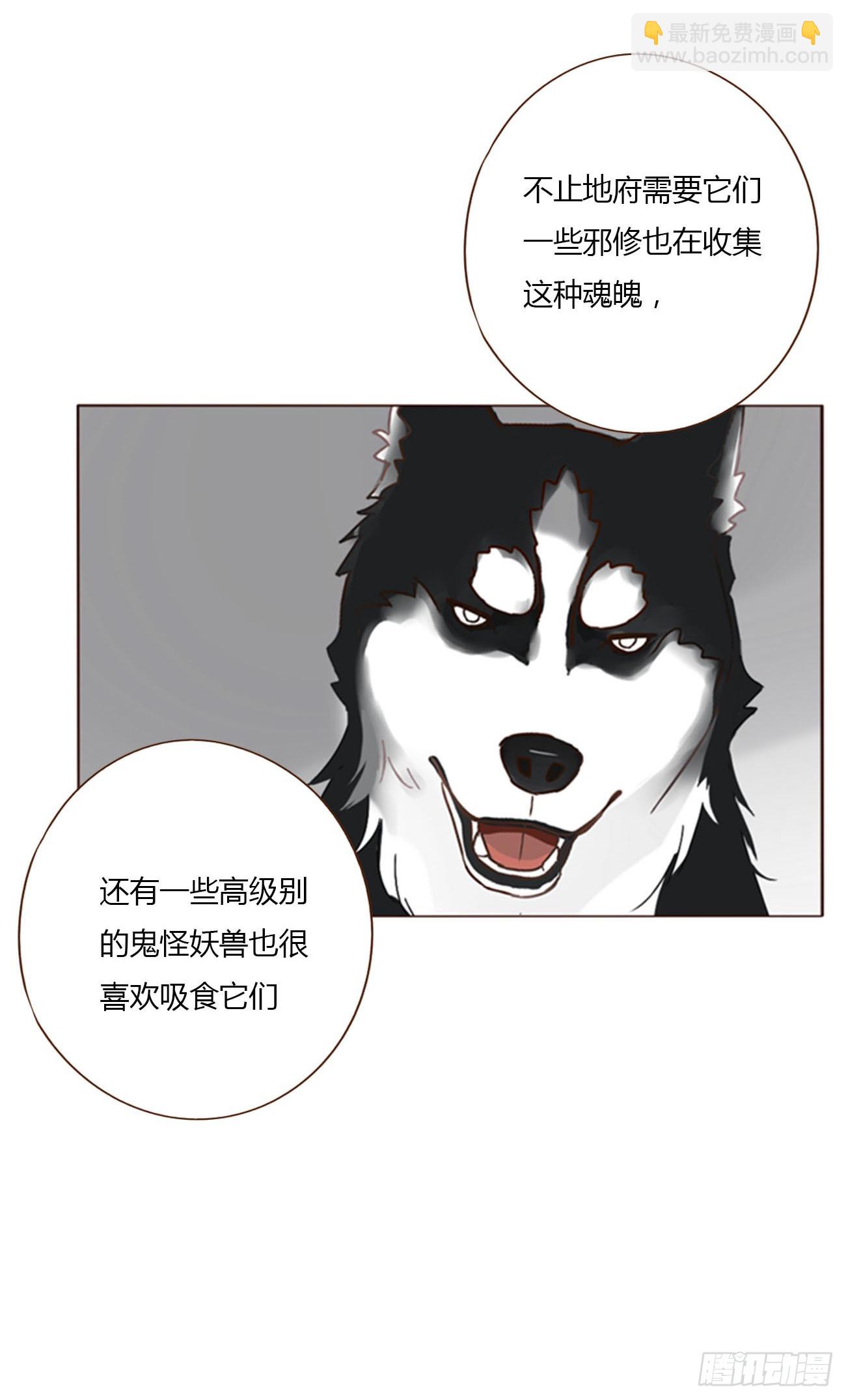 七十八章 热身运动(1/2)-第84话