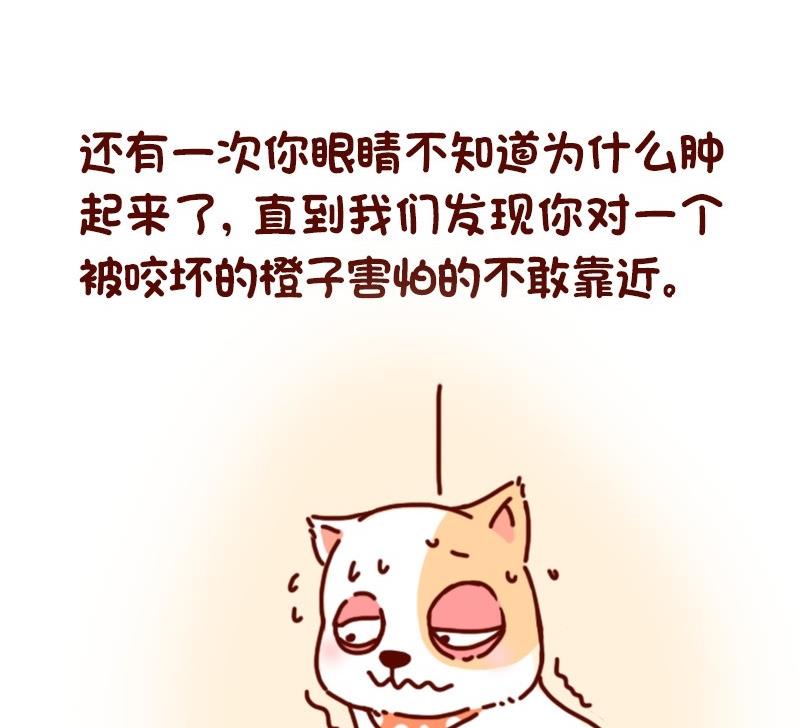 第30话(1/2)-第30话