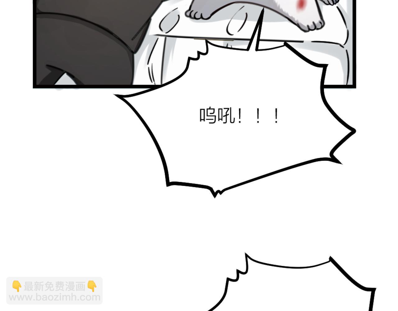 第38话 终于醒来了！(1/3)-第40话