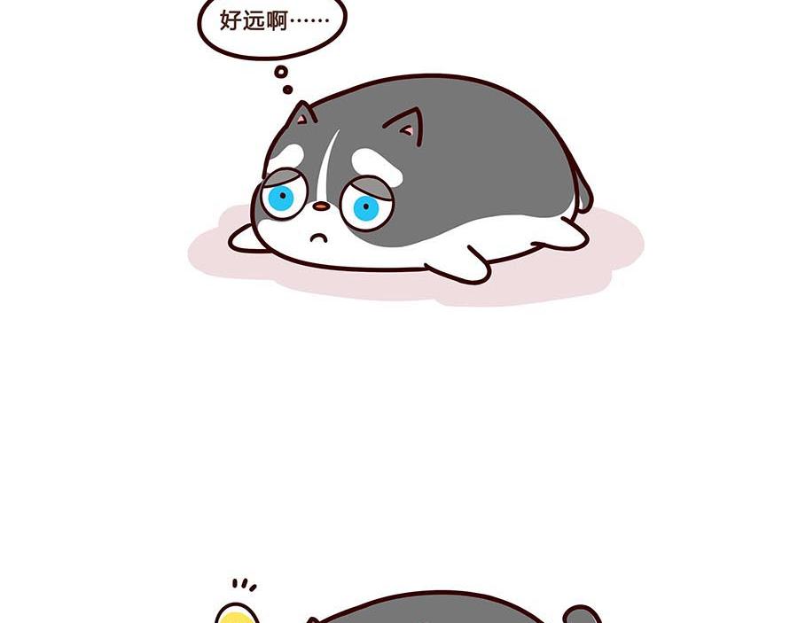 胖不是一口吃出来的-第10话