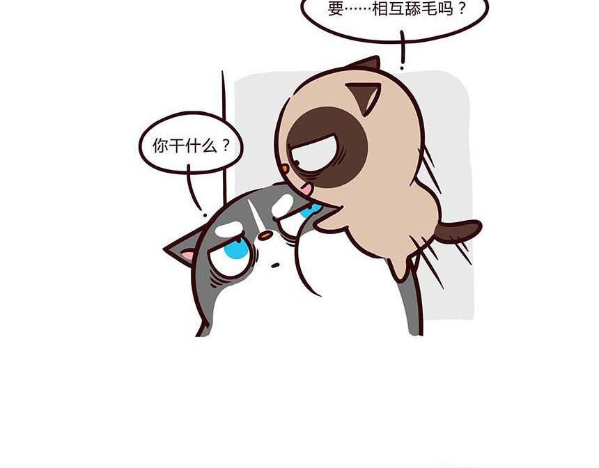 好像哪里不对-第14话