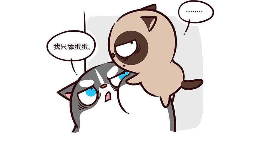 好像哪里不对-第14话