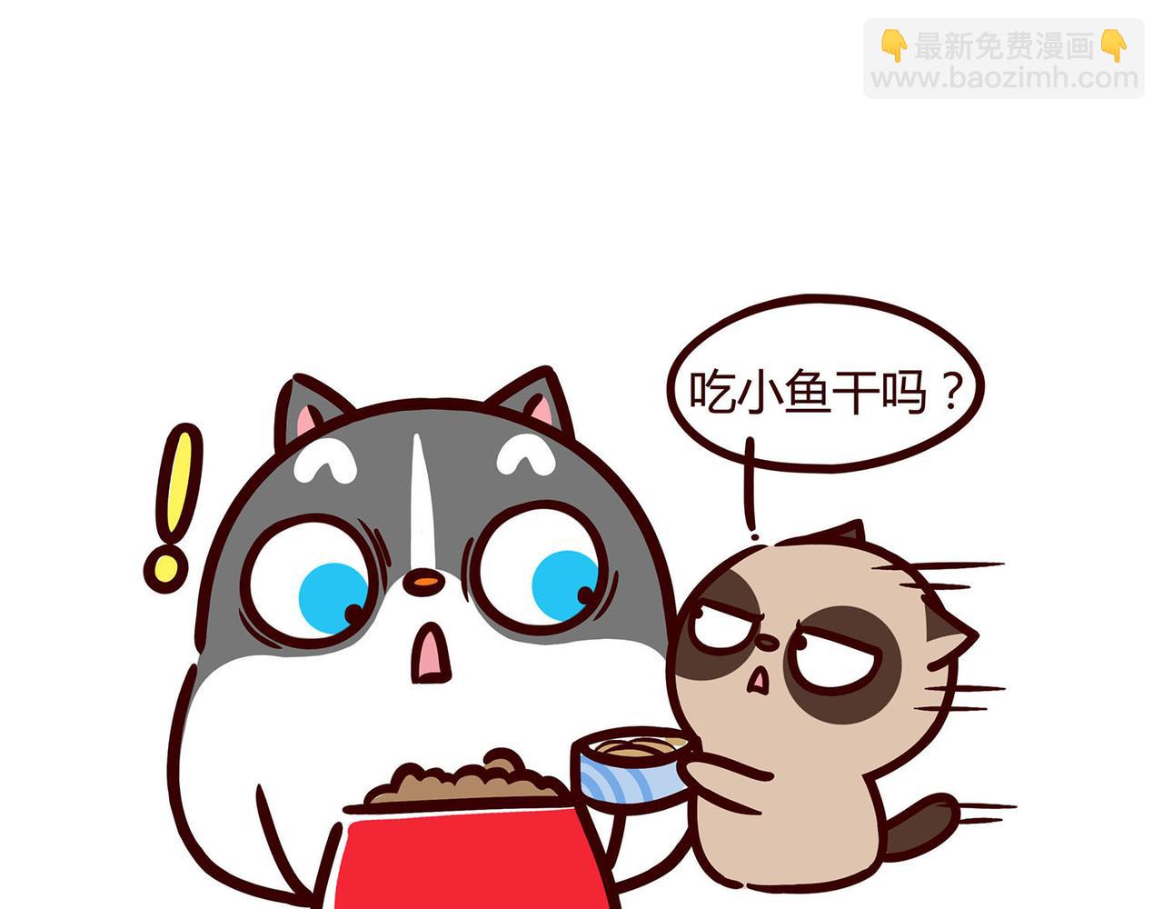 好像哪里不对-第14话