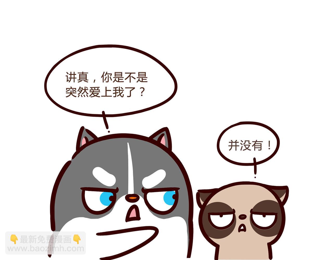 好像哪里不对-第14话