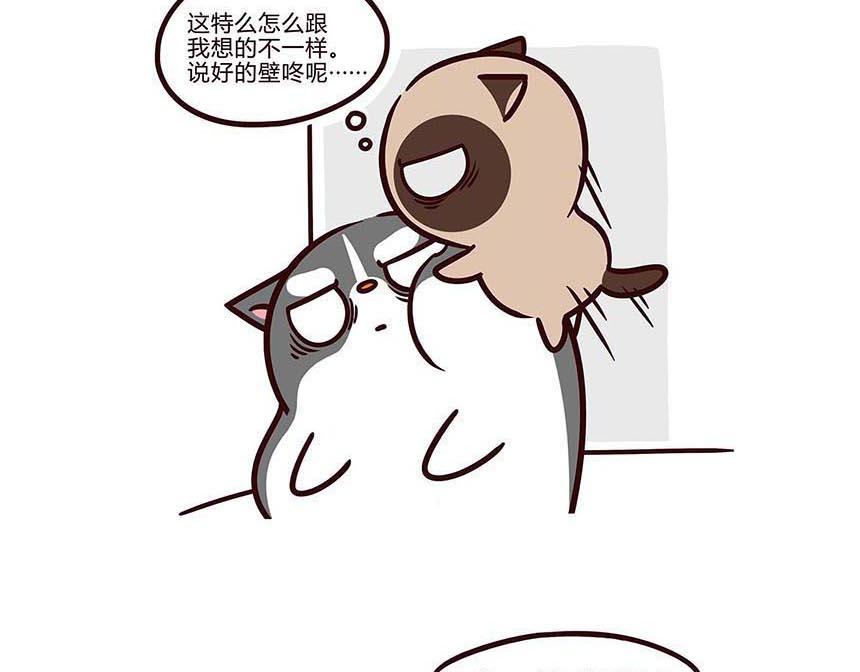 好像哪里不对-第14话