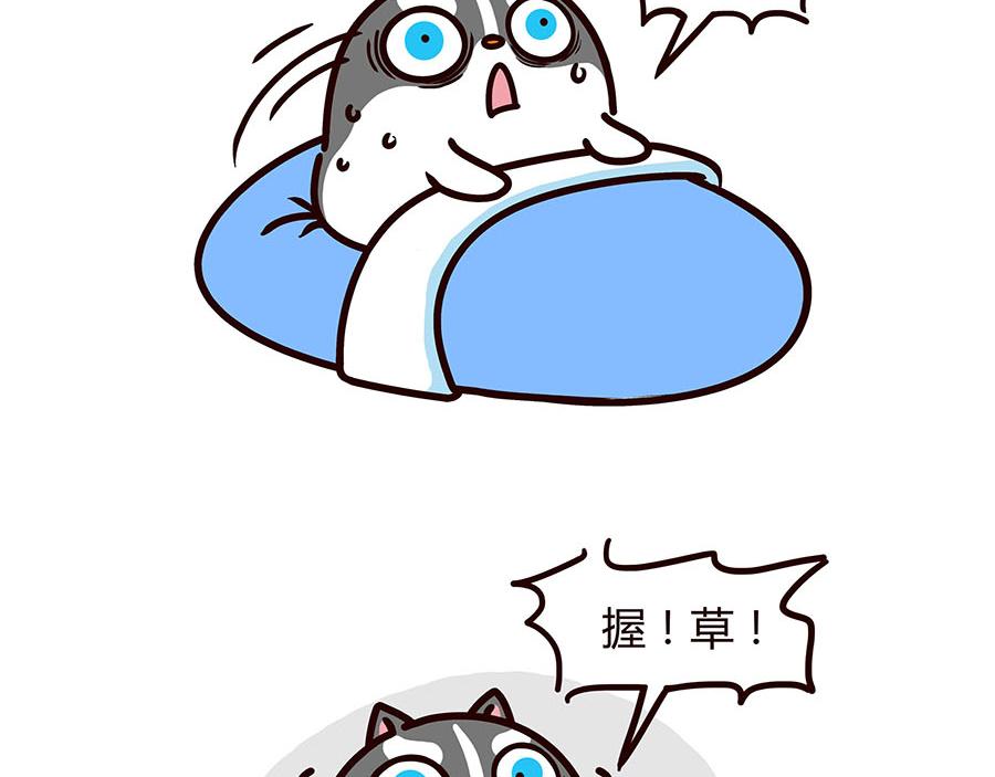 泛黄的旧衬衫-第16话