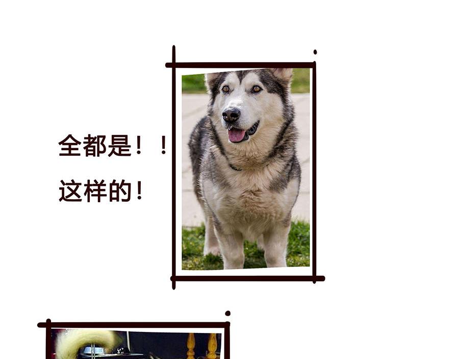 有一个开明家长的重要性-第36话