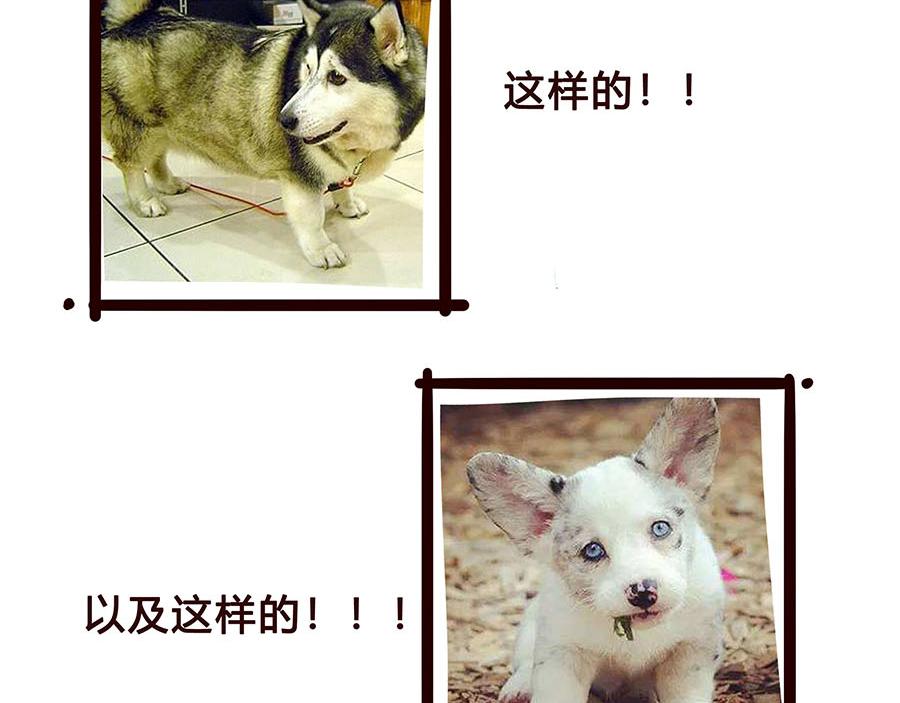 有一个开明家长的重要性-第36话