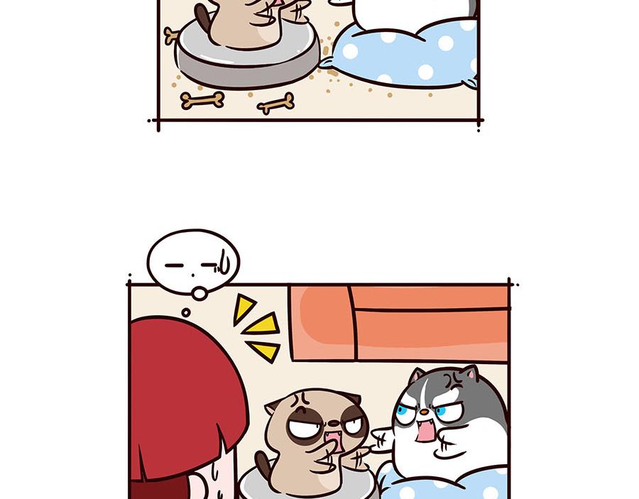 武林萌主-第4话