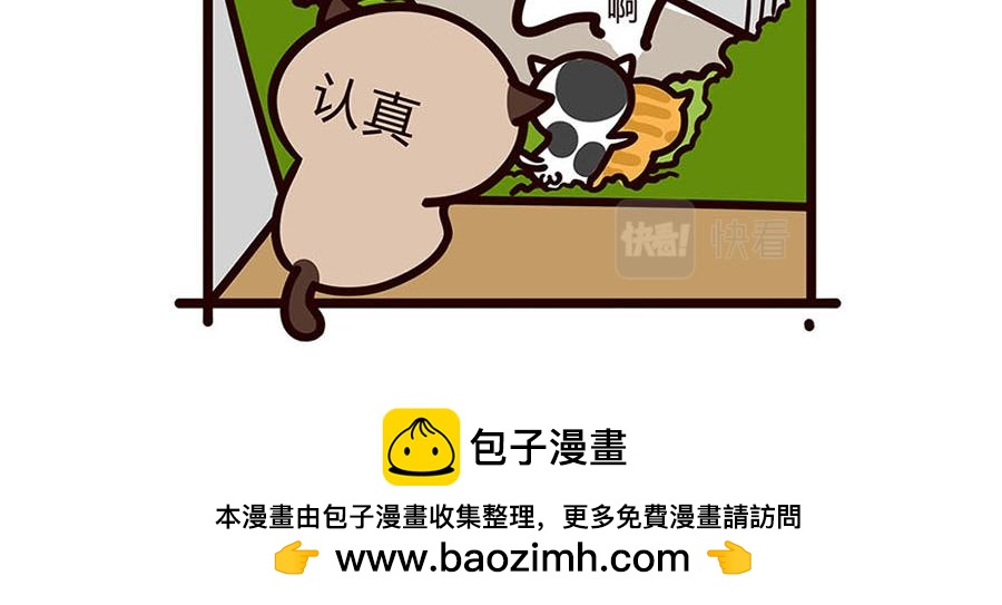 独自在家-第40话