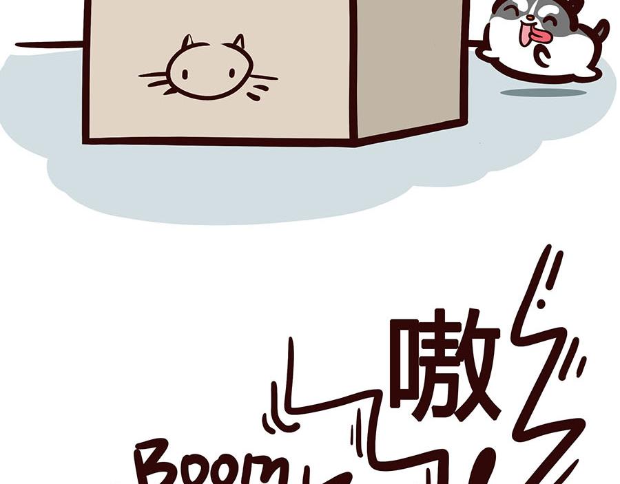 争宠计划-第48话