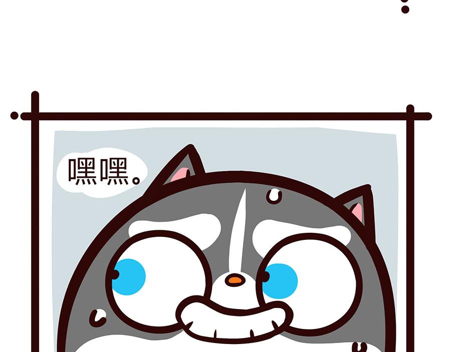 争宠计划-第48话