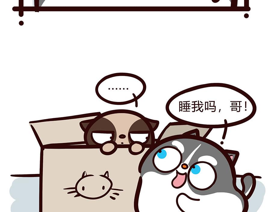 争宠计划-第48话