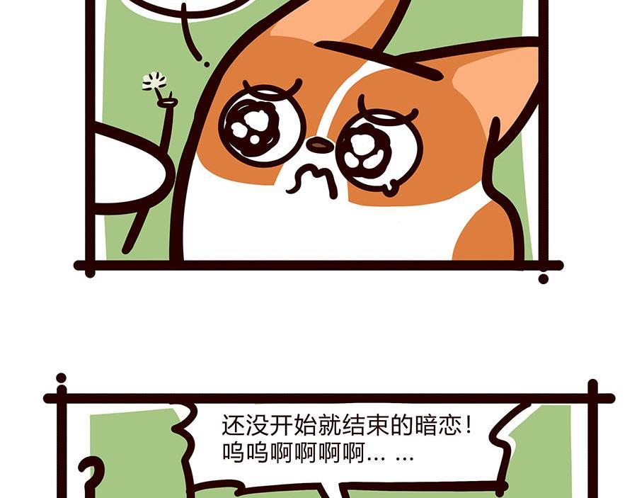 你喜欢他什么？？-第52话