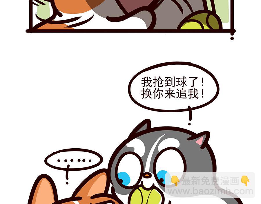 你喜欢他什么？？-第52话