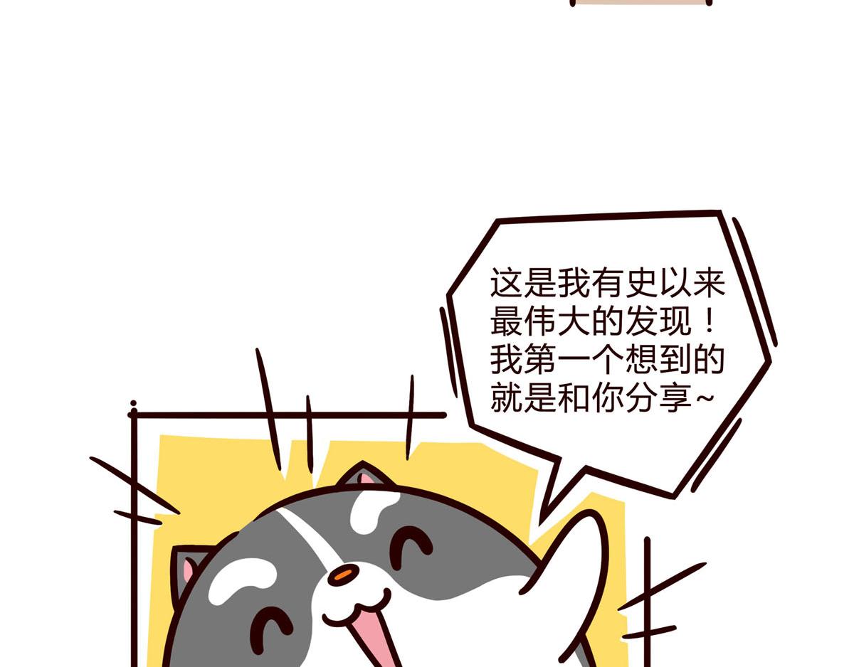 有家寵物店 - 你是我撩不動的崽(1/2) - 3
