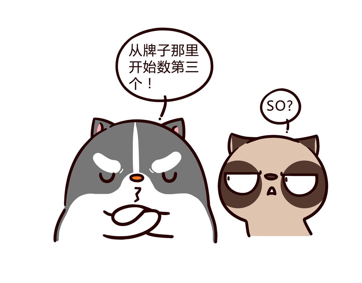 有家寵物店 - 你是我撩不動的崽(1/2) - 7