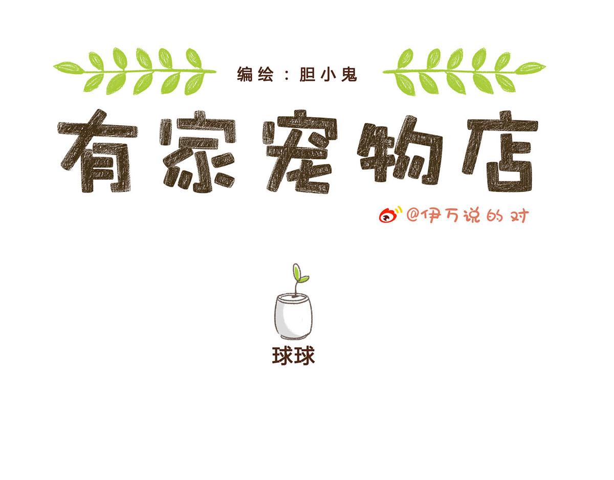 有家寵物店 - 你是我撩不動的崽(1/2) - 4