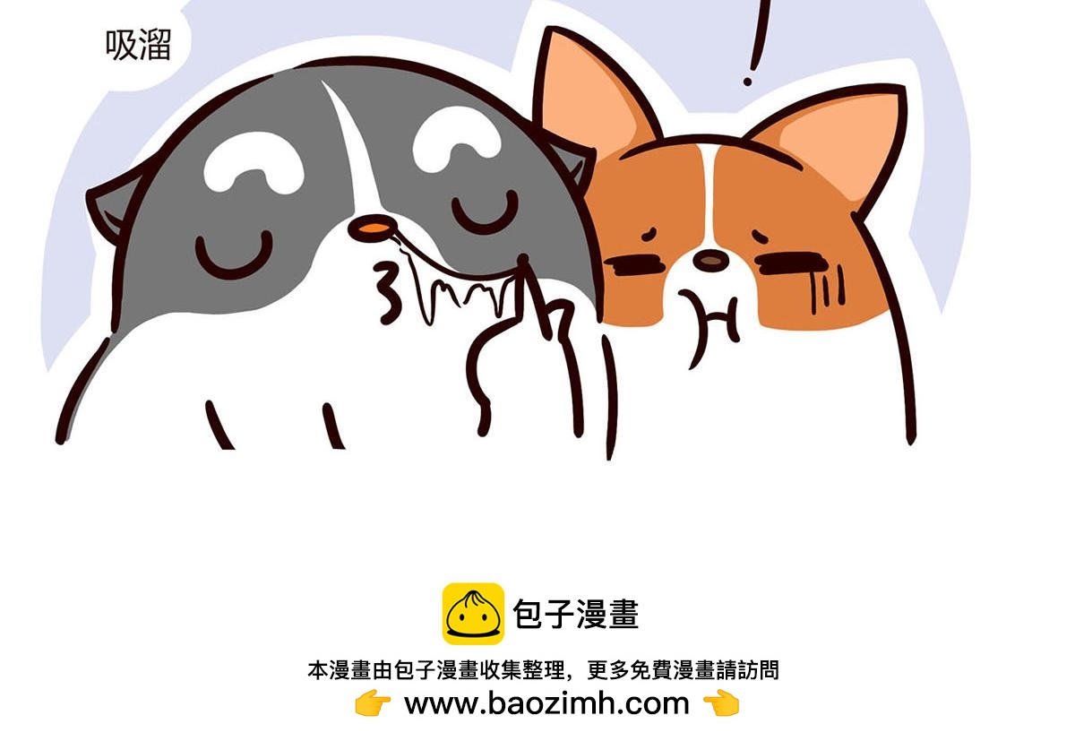 有家寵物店 - 你是我撩不動的崽(2/2) - 1