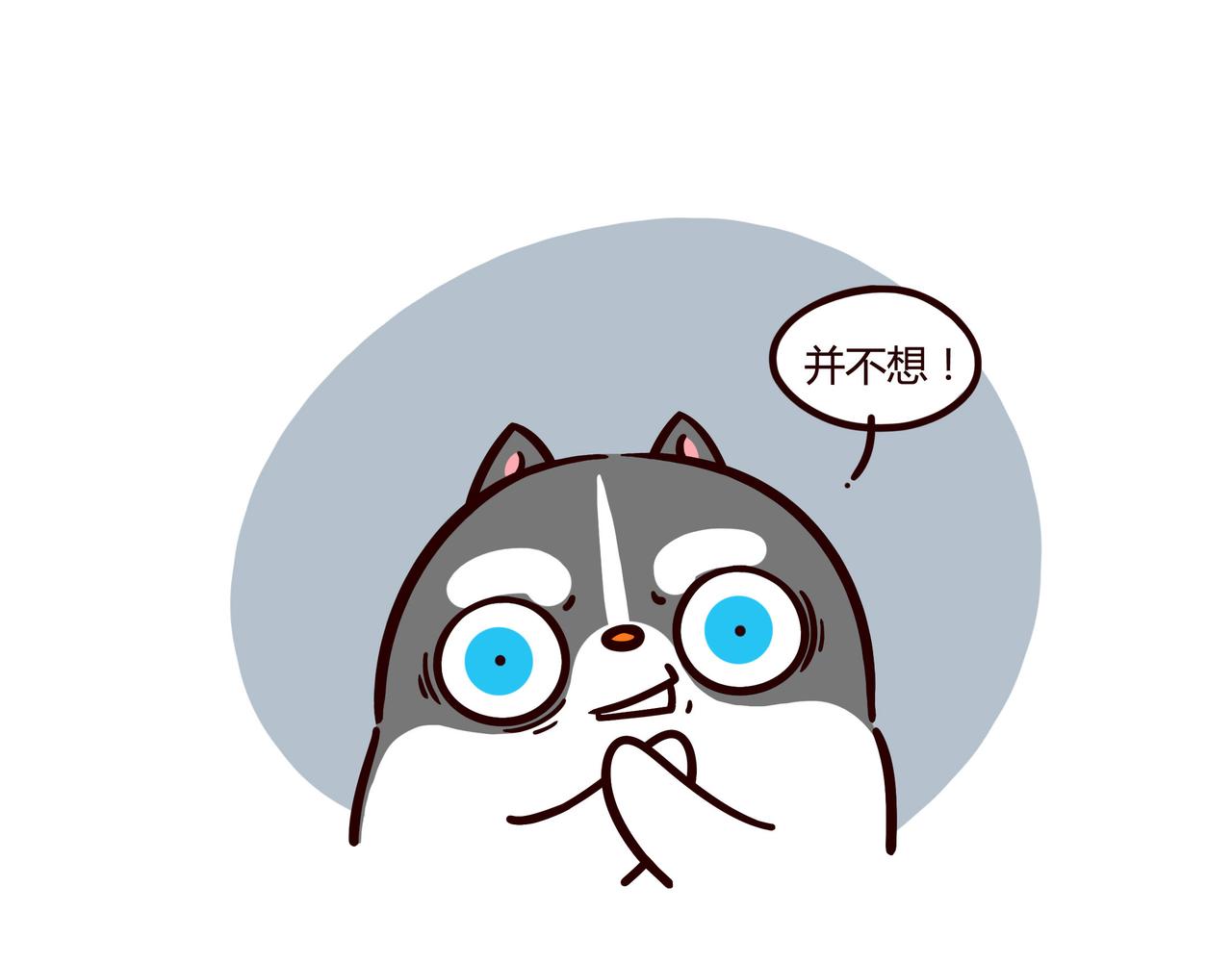 大厨的诞生(1/2)-第8话