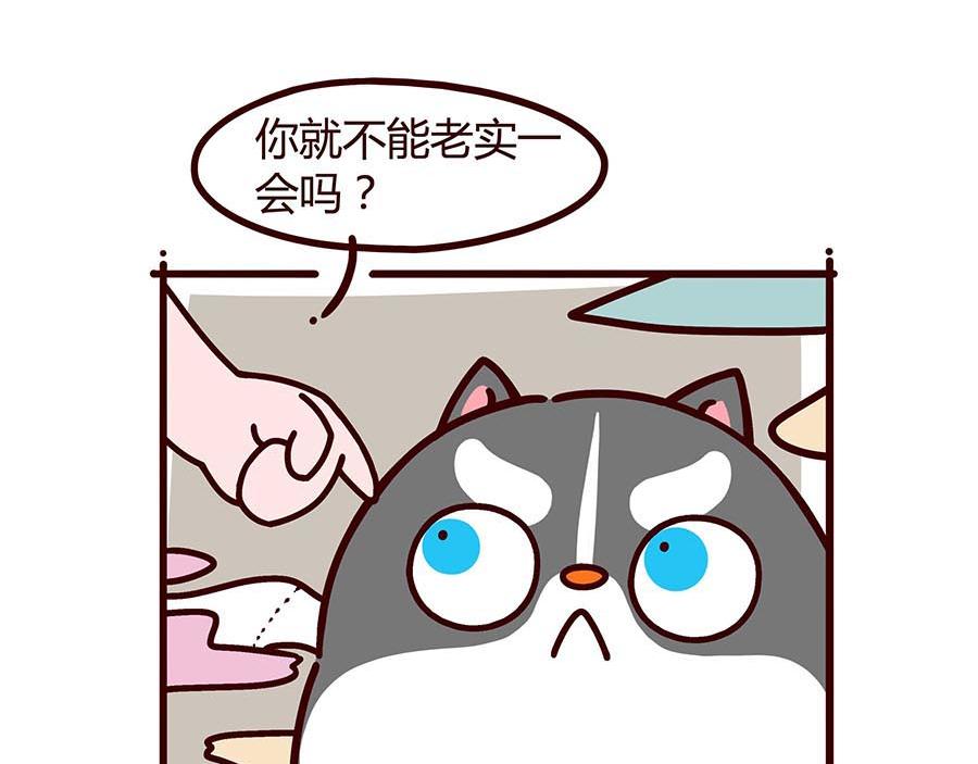 大厨的诞生(1/2)-第8话