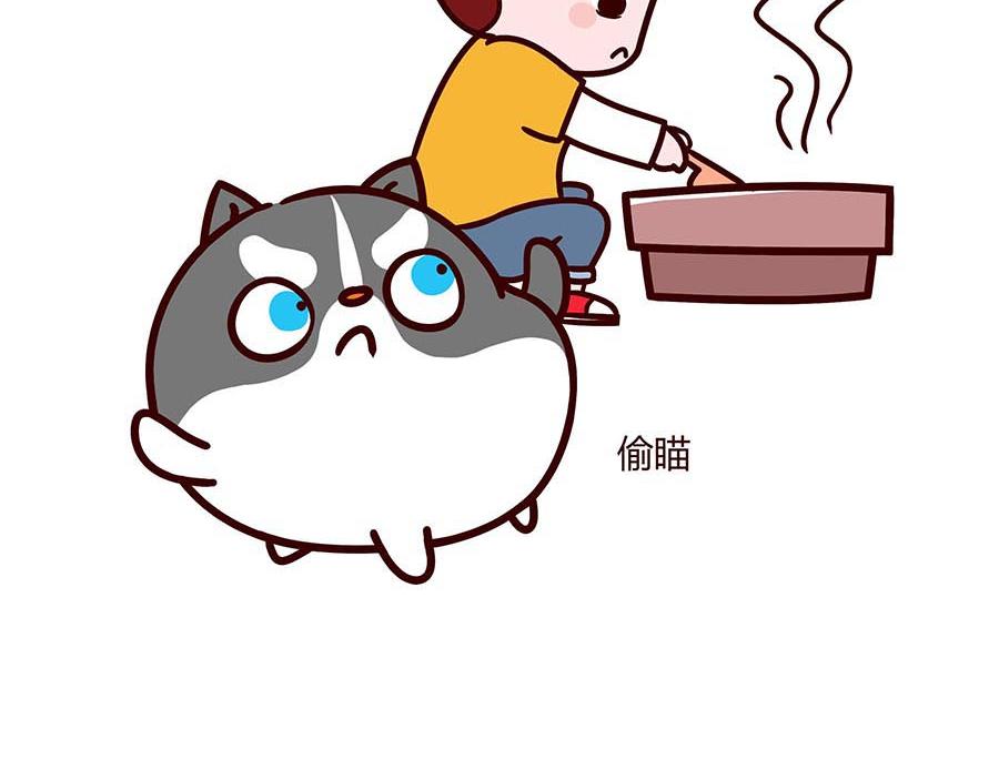 大厨的诞生(1/2)-第8话