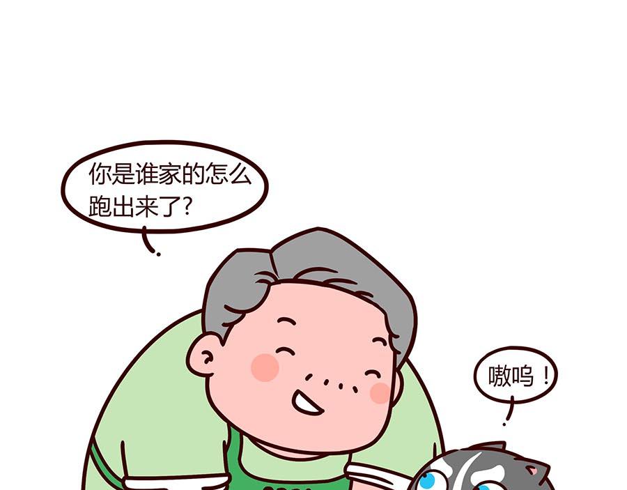 大厨的诞生(1/2)-第8话