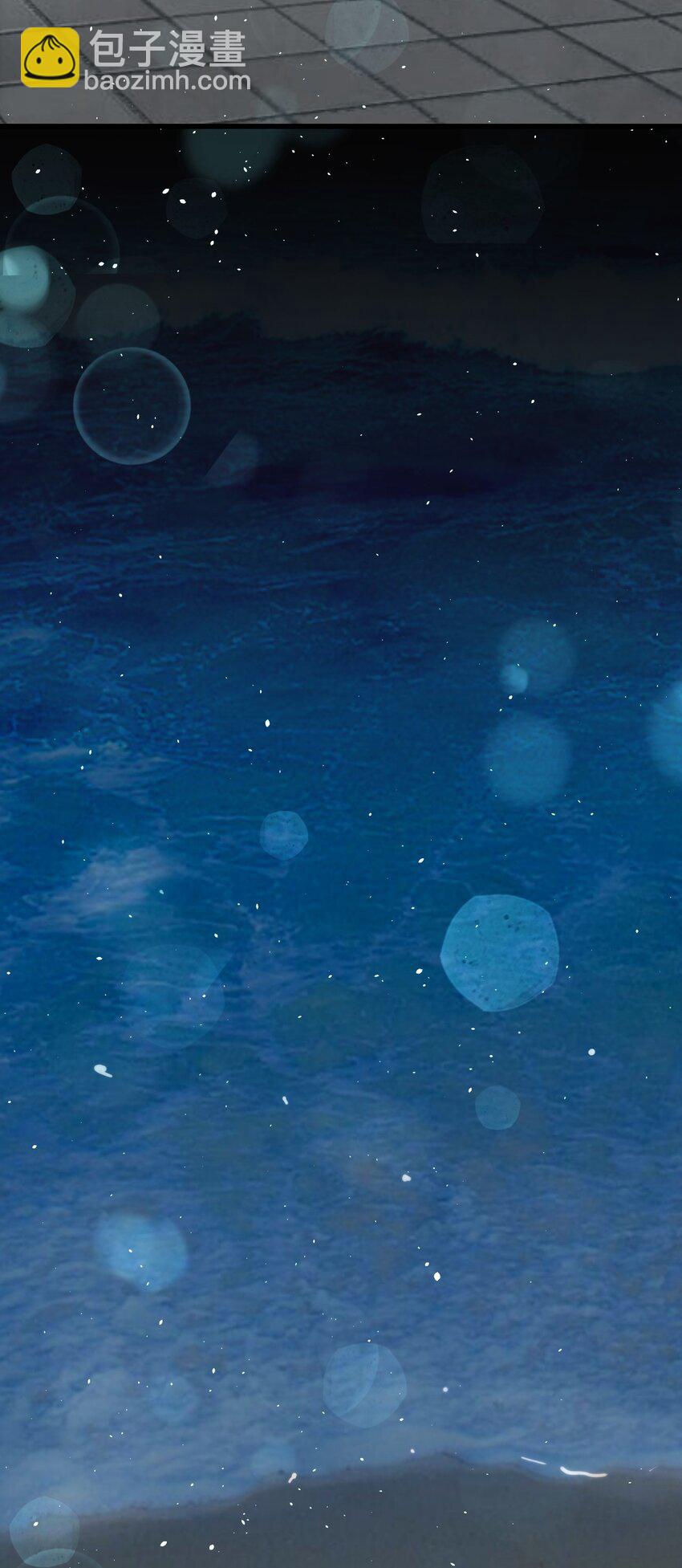 047 惜别的流星(1/2)-第48话