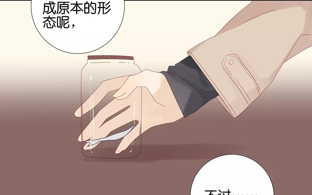 第62话 龙(1/2)-第62话