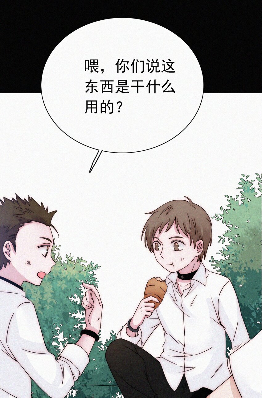 051 高墙、小鸟-第54话