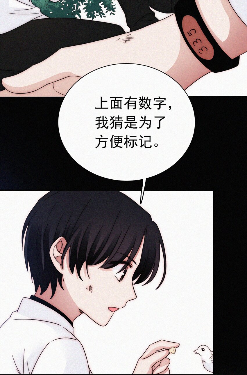 051 高墙、小鸟-第54话