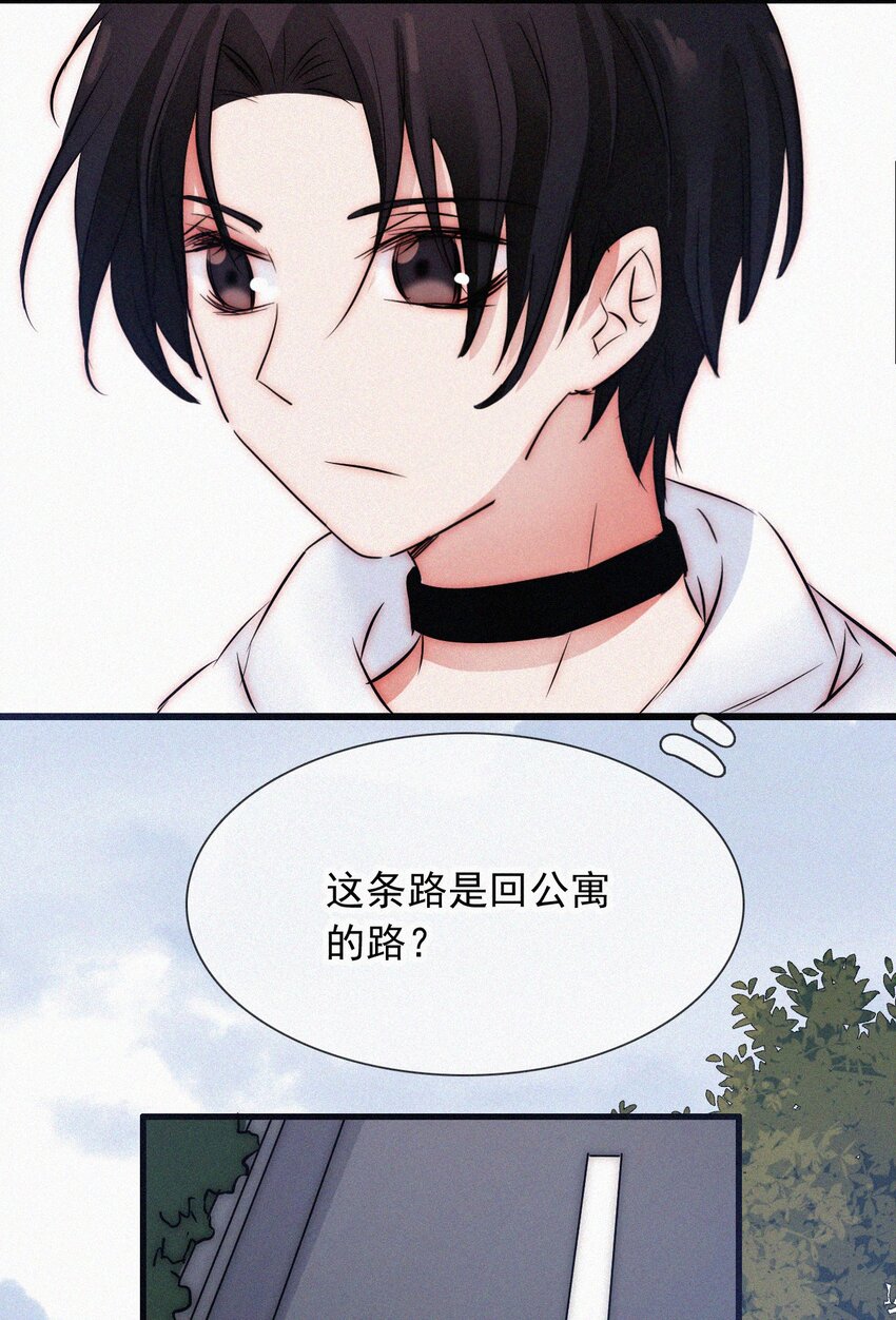 062 你好呀，小猫咪！-第66话