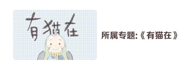 感觉有点奇怪-第2话