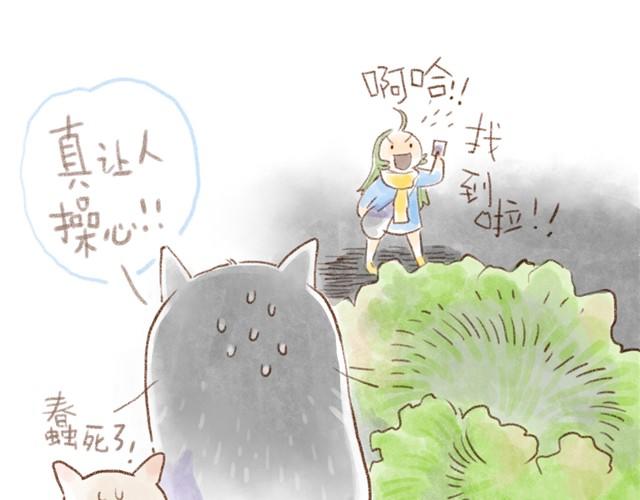 不用谢！我们只是怕你太寂寞~-第12话