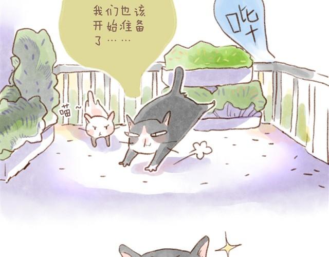 不用谢！我们只是怕你太寂寞~-第12话