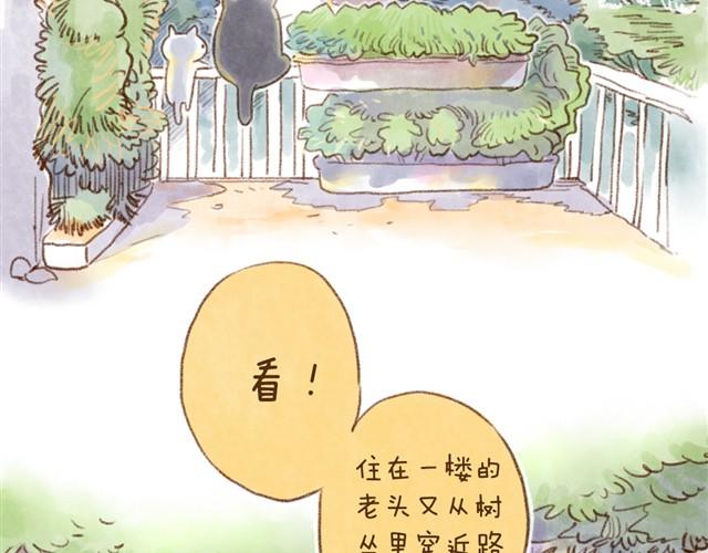 不用谢！我们只是怕你太寂寞~-第12话