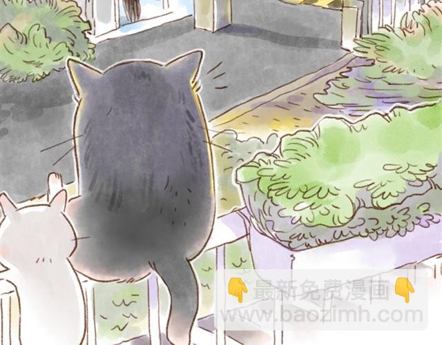 不用谢！我们只是怕你太寂寞~-第12话