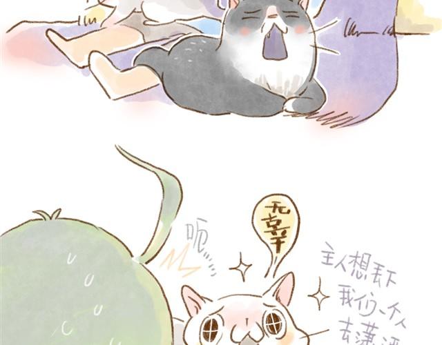 有猫在，不远行-第14话