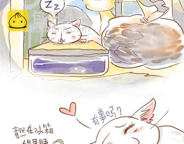 缝隙是猫的小秘密-第16话